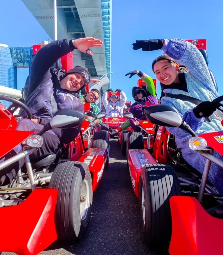 TokyoBay Street Kart Tour – Unleash Your Spirit of Adventure!